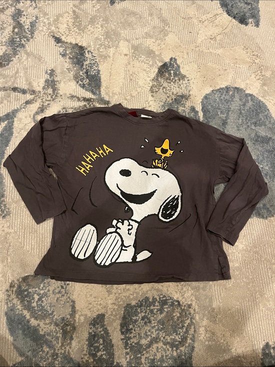Zara Other - Zara Dark Gray Snoopy & Woodstock Graphic Long-Sleeve Tee
